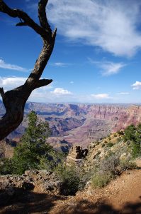 Photo du Grand Canyon