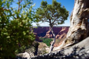Photo du Canyon de Chelly