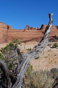Photo d'une arche naturelle