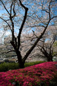 Parvis de l'hôtel Grand Prince Akasaka
