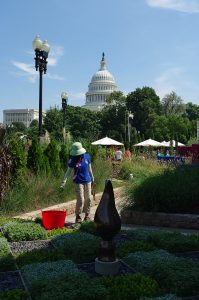 Photo des jardins du United States Botanical Garden