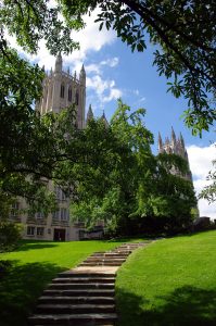 Photo des jardins de la cathédrale de Washington