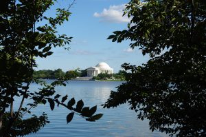 Photo du Washington Memorial