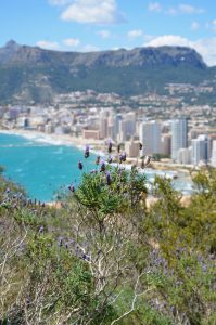Calpe depuis le Peñon