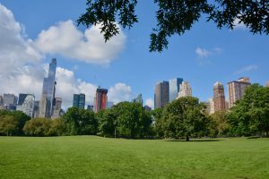 Central Park sud