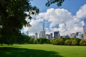 The Lawn à Central Park