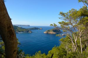 Isla de Portixol