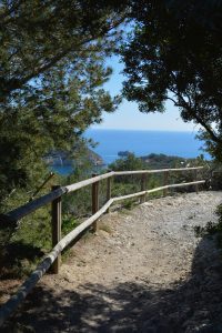 Chemin vers la baie de Portixol