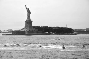 Liberty Island