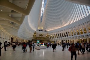 Oculus