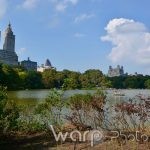 The Lake, Central Park