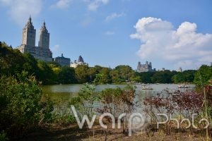 The Lake, Central Park