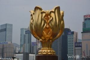 Golden Bauhinia